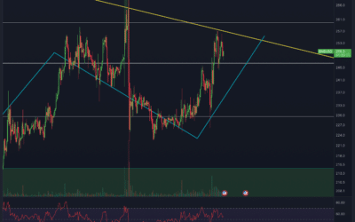 BinanceCoin (BNB) Chartanalyse – 290 USD in Reichweite?