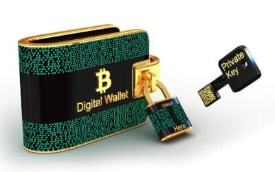 BlackRock CEO: Bitcoin ist größer als jede Regierung!