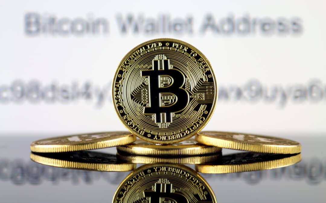 Neue Ära der Transparenz: Bitwise Bitcoin ETF setzt Maßstäbe im US-Markt
