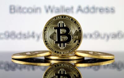 Neue Ära der Transparenz: Bitwise Bitcoin ETF setzt Maßstäbe im US-Markt