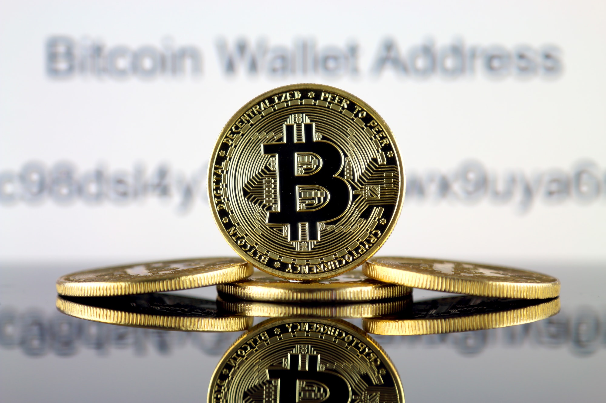 Neue Ära der Transparenz: Bitwise Bitcoin ETF setzt Maßstäbe im US-Markt