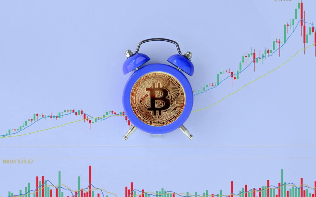 Bitcoin Foundation Mitgründer: Der nächste BTC Bullenmarkt ist der letzte!