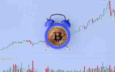 Bitcoin Foundation Mitgründer: Der nächste BTC Bullenmarkt ist der letzte!