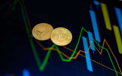 El Salvadors Staatsoberhaupt Nayib Bukele beobachtet aufmerksam die Bitcoin Rally