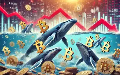 Bitcoin Wale akkumulieren trotz Markteinbruchs: Ein Einblick