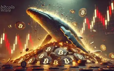 Marktcrash hält Bitcoin Wale nicht auf: 1,7 Milliarden Dollar in BTC gehortet