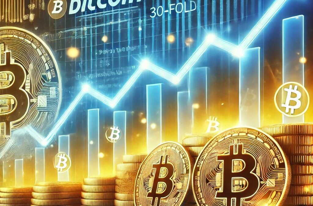 „Es gibt keinen Grund, warum Bitcoin nicht um das 30-fache ansteigen könnte!“