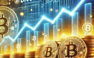 „Es gibt keinen Grund, warum Bitcoin nicht um das 30-fache ansteigen könnte!“