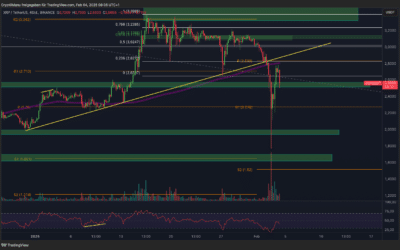 XRP STEIGT 50%! Doch folgt der nächste Dump?