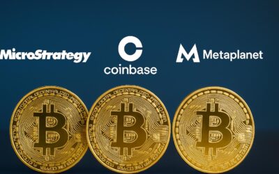Bitcoin pro Aktie: Wer bietet am meisten BTC fürs Geld?