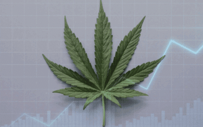 Die Cannabis-Pflanze wird digital: DECT- Token startet Ernte-Beteiligung
