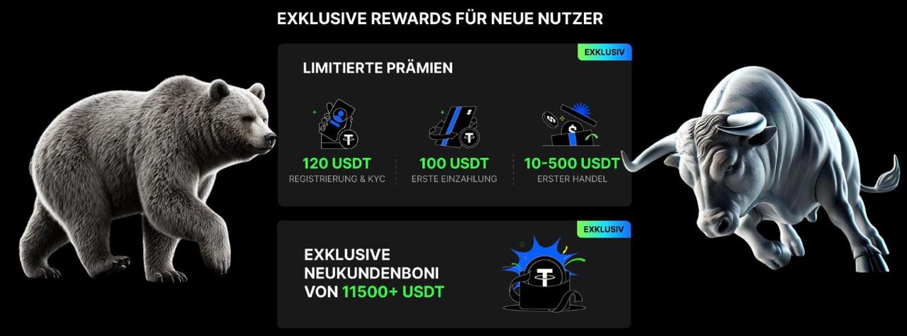 BingX Kampagne Q4 25