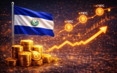 7 BTC in einer Woche trotz Bärenmarkt, El Salvador ignoriert den IWF-Compliance-Report