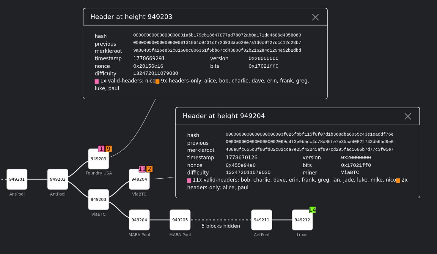 Bitcoin Back-to-Back Fork Grafik