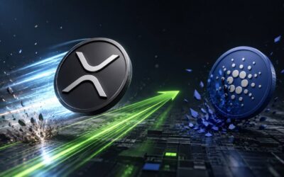 XRP Ledger Adoption übertrifft Cardano in Charles-Schwab-Einordnung